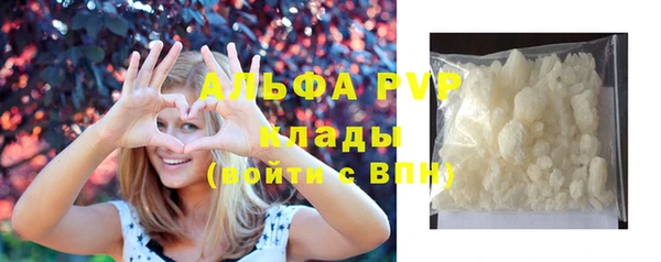 гидра Алексин
