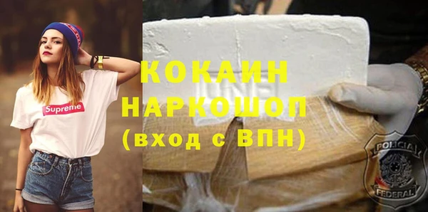 хмурый Алзамай