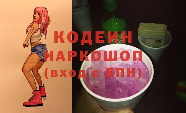 хмурый Алзамай