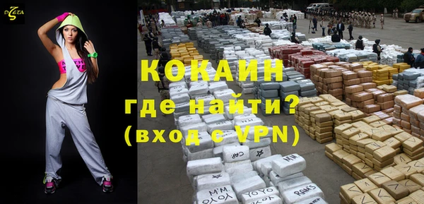 хмурый Алзамай