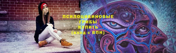 хмурый Алзамай