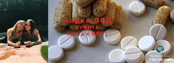 гидра Алексин
