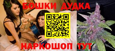 альфа пвп Новодвинск